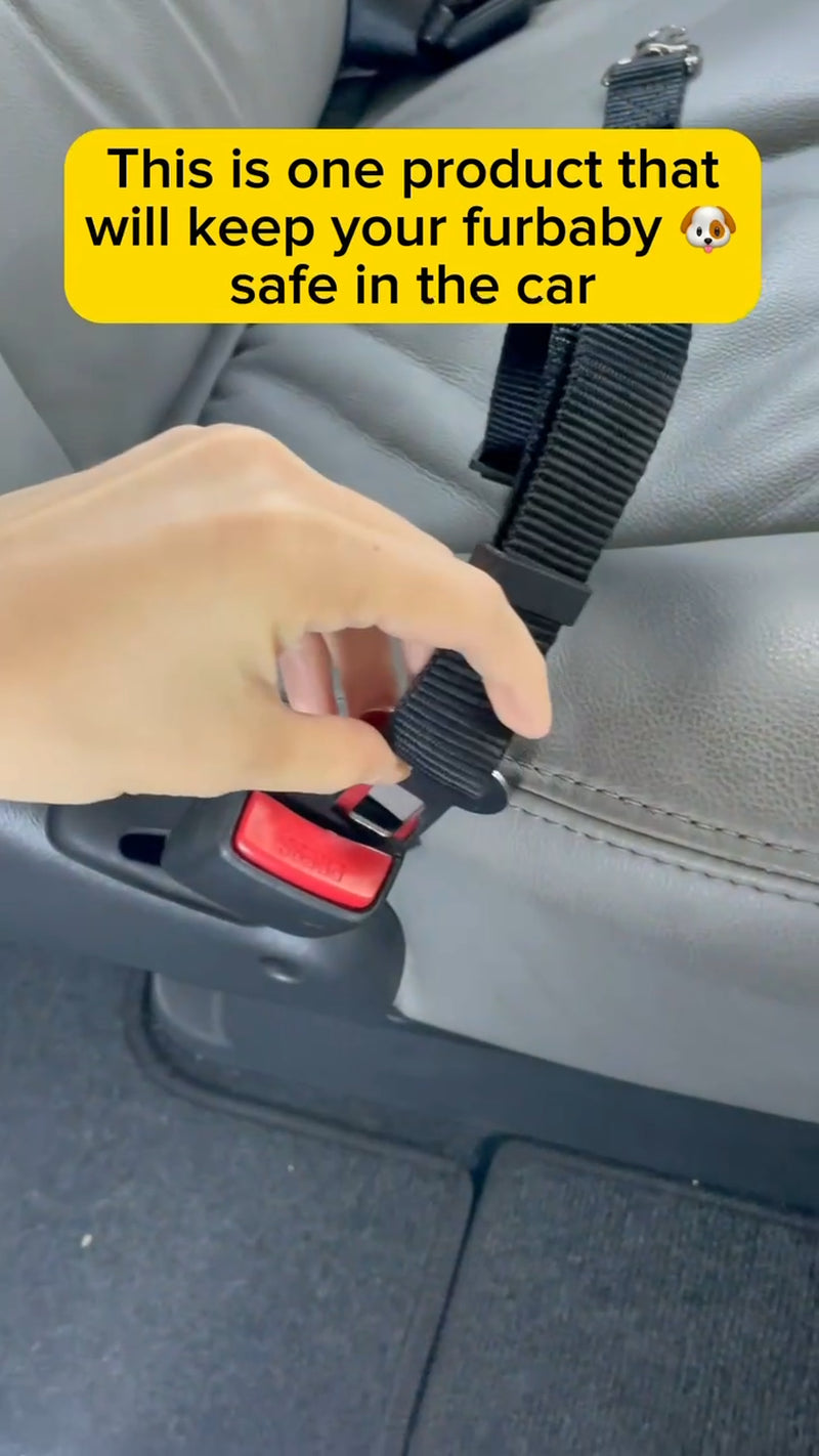 Pet Dog SEAT BELT Adjustable Travel Car Harness Lead Restraint Connector Strap