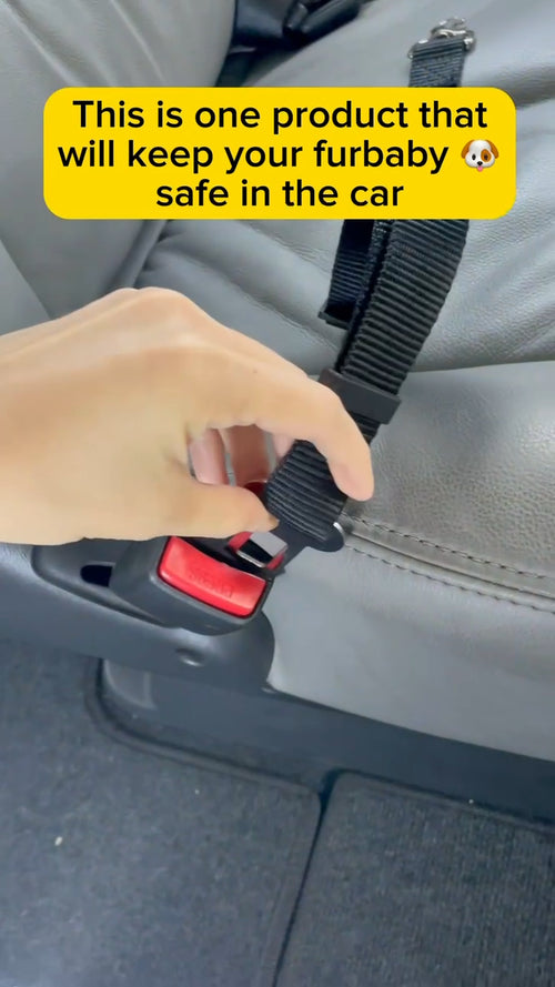 Pet Dog SEAT BELT Adjustable Travel Car Harness Lead Restraint Connector Strap